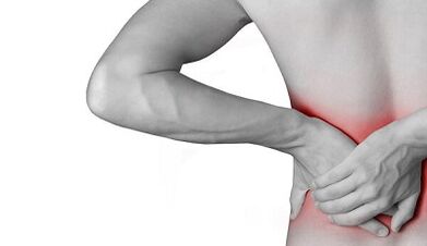 The causes of back pain in the lower back